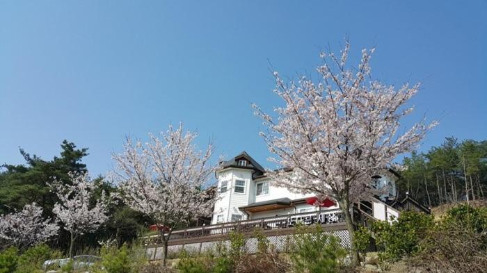 Another World Pension Gyeongju Exterior foto